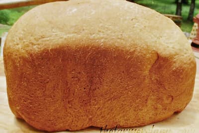 loaf of sourdough bread cooling