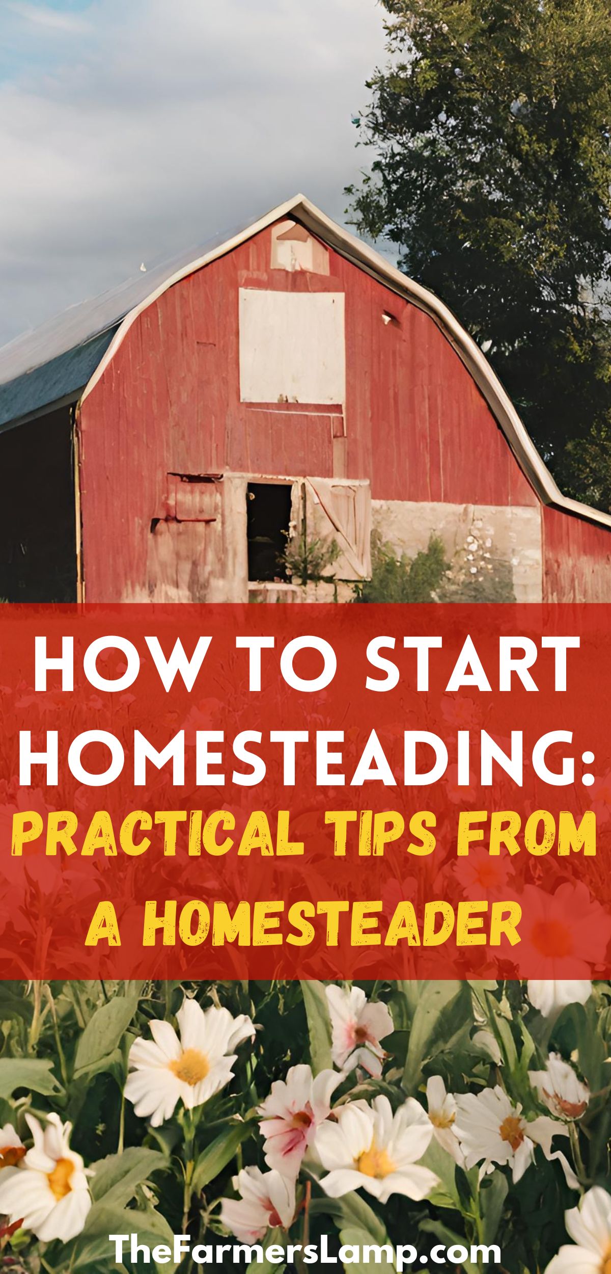 an old red barn in the background with flowers in the foreground with words written that read how to start homesteading practical tips from a homesteader the farmers lamp