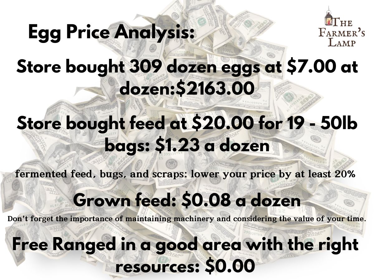 an egg price analysis chart showing the breakdown cost of egg production