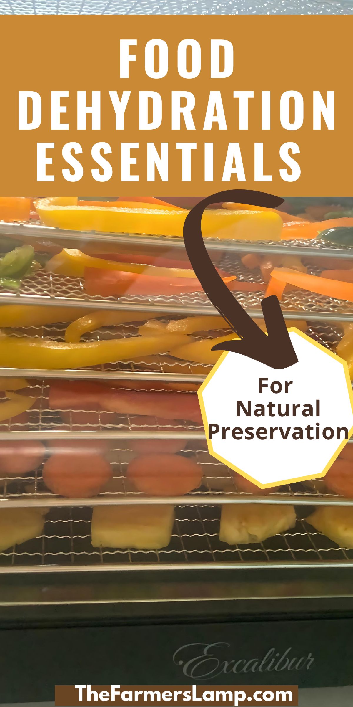 trays of fruit and veg in my dehydrator with words written that read food dehydration essentials for natural preservation the farmers lamp dot com