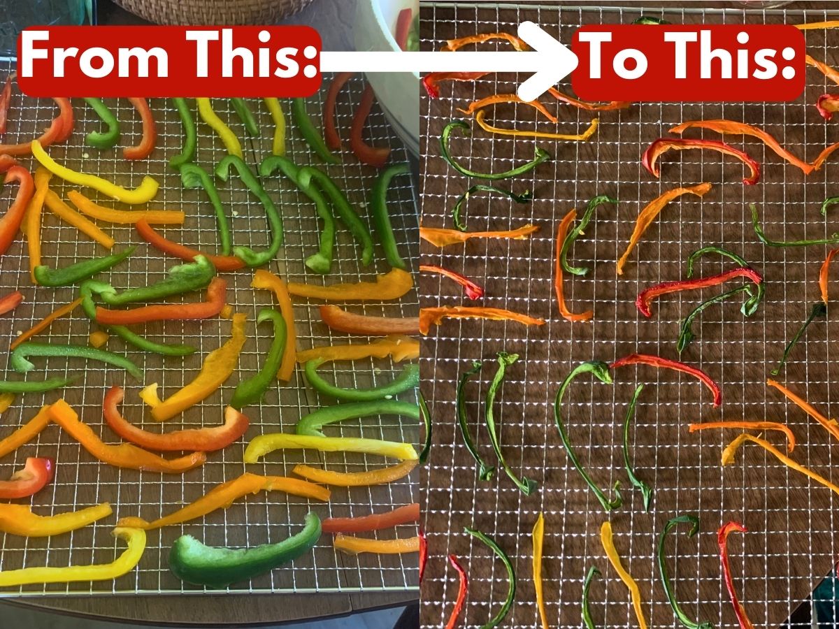 before and after picture of bell peppers dehydrated