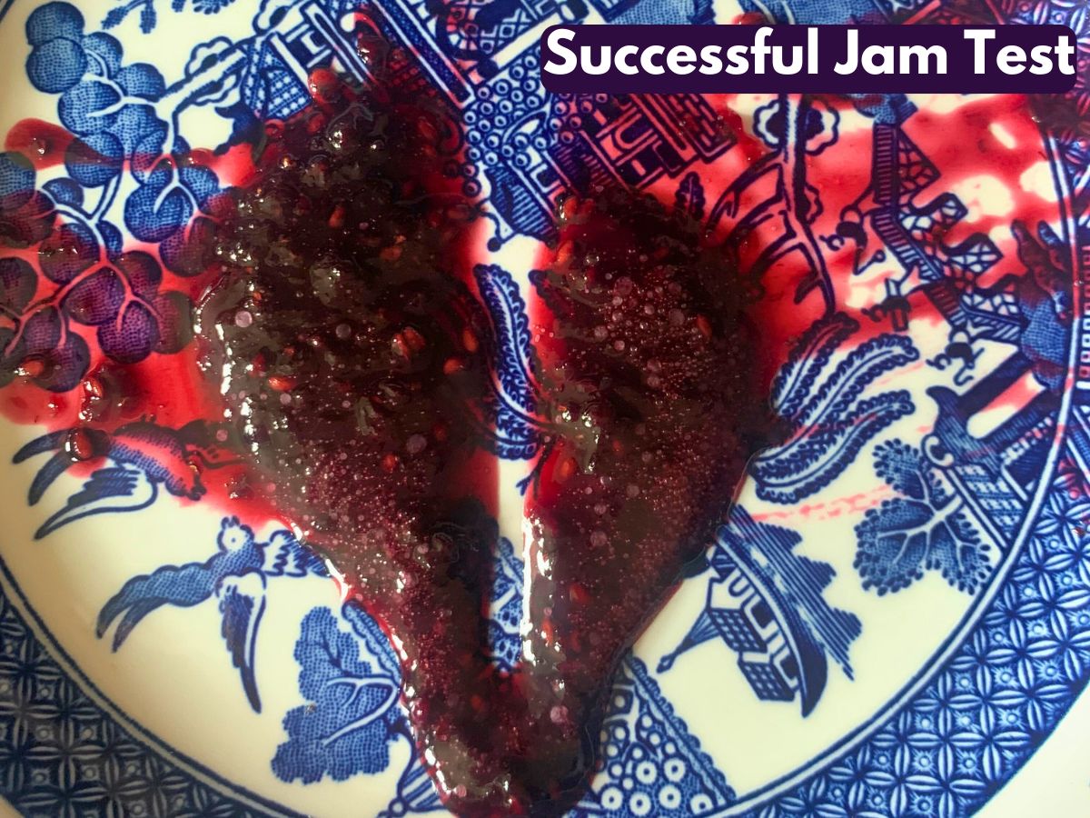 blackberry jam recipe test showing jam not running on a blue willow plate