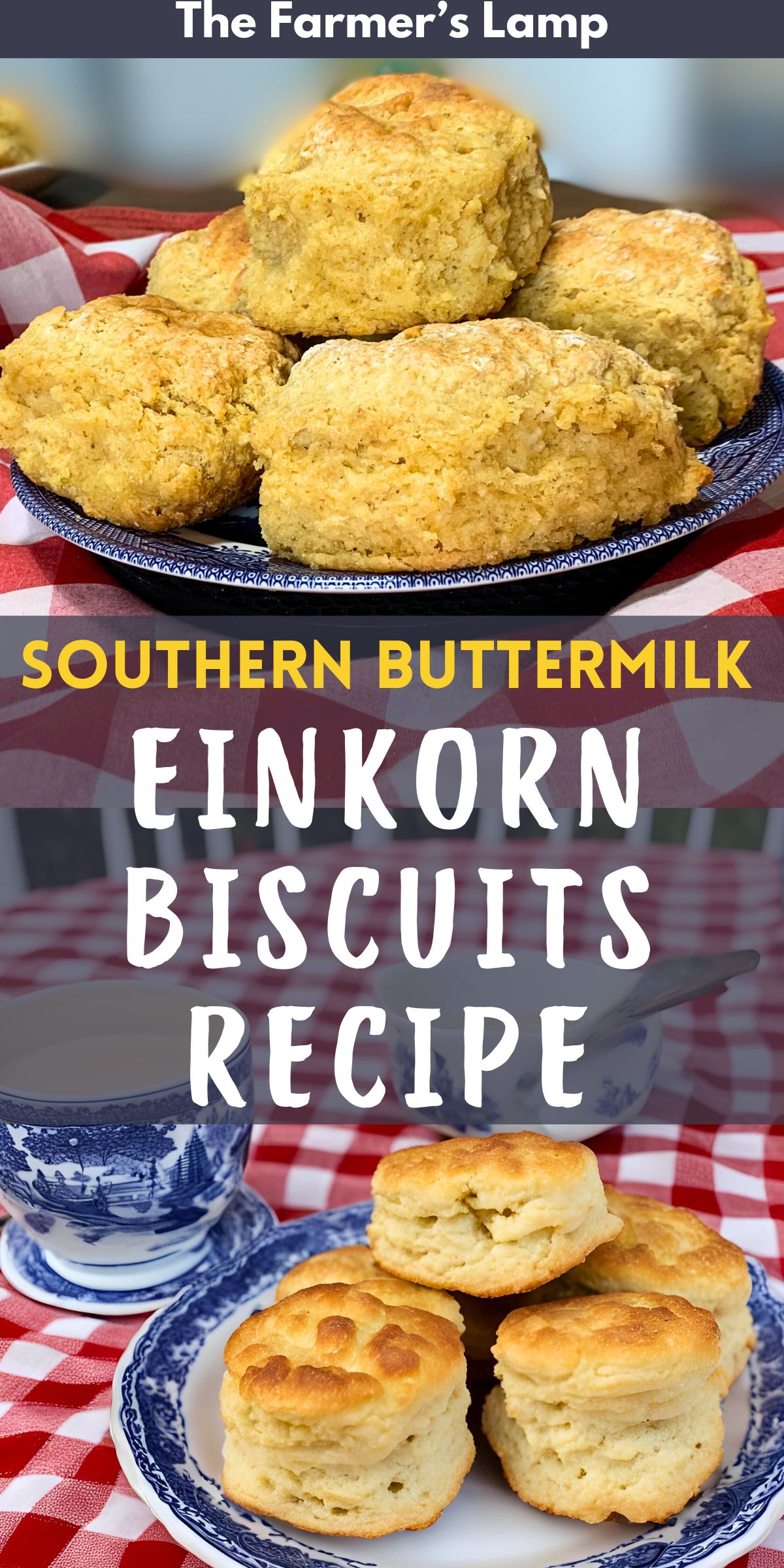 hand rolled and rolled and cut biscuits with words written that read southern buttermilk einkorn biscuits recipe the farmers lamp