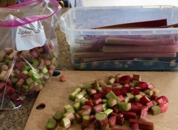 Best Method of Preserving Food After Garden Harvest rhubarb cut up on a board ready to be frozen in a plastic bag