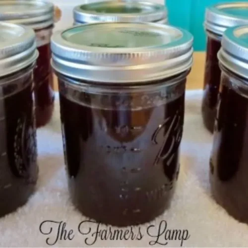 Home-canned jelly on kitchen counter using different canning methods