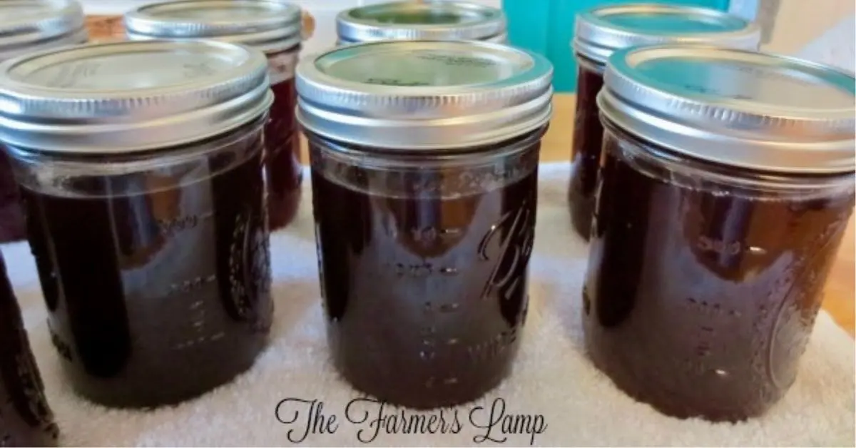 Home-canned jelly on kitchen counter using different canning methods