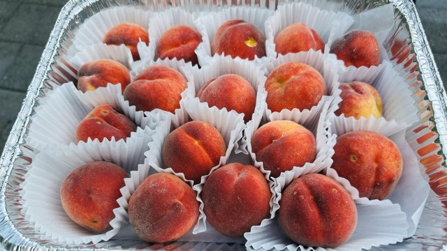 Peaches washed, separated from one another in a foil tray to dry, and ready to be sliced up for freezing. This method of preserving food is fast and easy.
