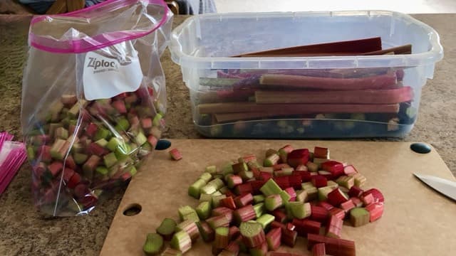 Best Method of Preserving Food After Garden Harvest rhubarb cut up on a board ready to be frozen in a plastic bag