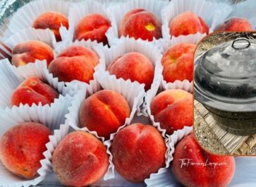 Preserving Food peaches and water bath canner