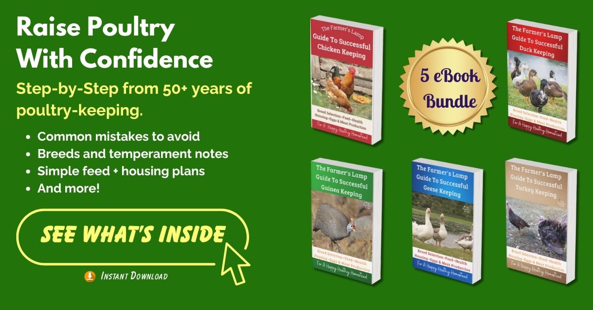 Raise Poultry With Confidence - 5 eBook Bundle showing Chicken, Geese, Guineas, Duck, and Turkey Keeping