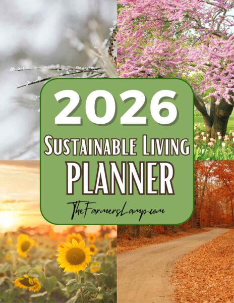 2026 TFL Sustainable Living Planner - Cover
