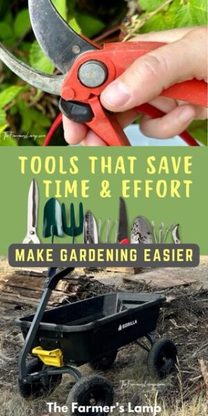 Pin of List Garden Tools Pin of Tools that save time and effort in the garden for List Garden Tools
