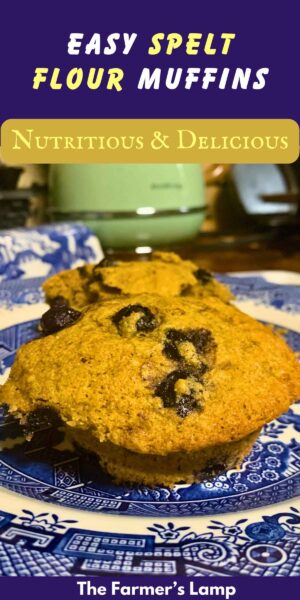 Easy Spelt Flour Muffiins with Blueberries - Pin