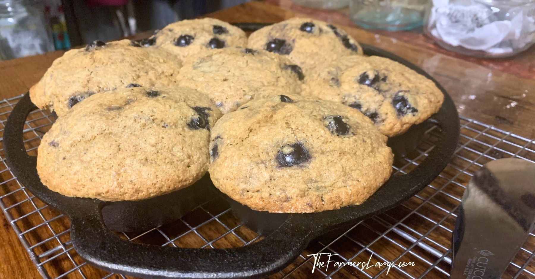 spelt flour muffins with blueberries in a cast iron muffin tin sitting on a stainless steel cooling rack.