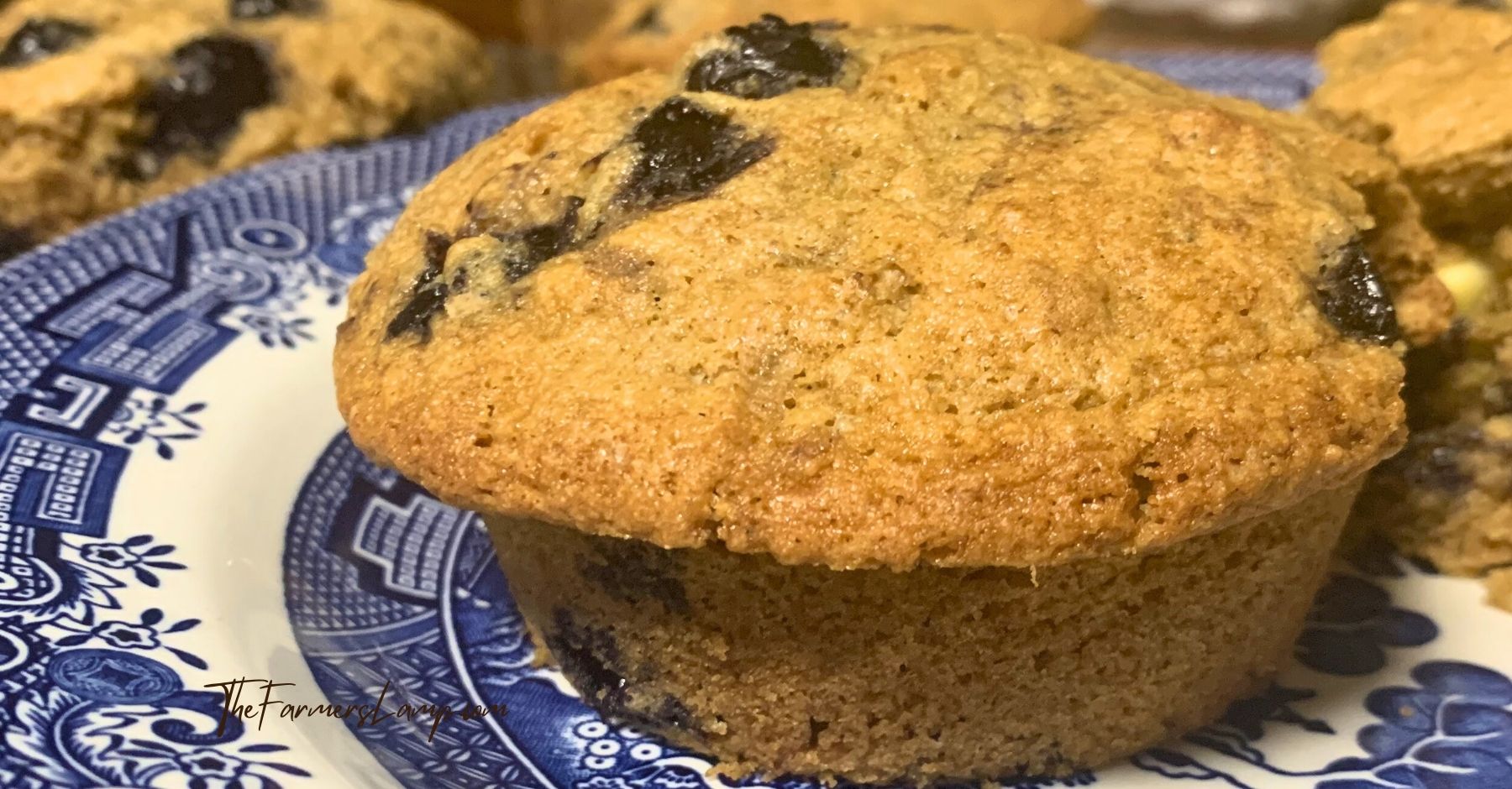 upclose shot of a spelt flour muffin with blueberries on a blue willow plate