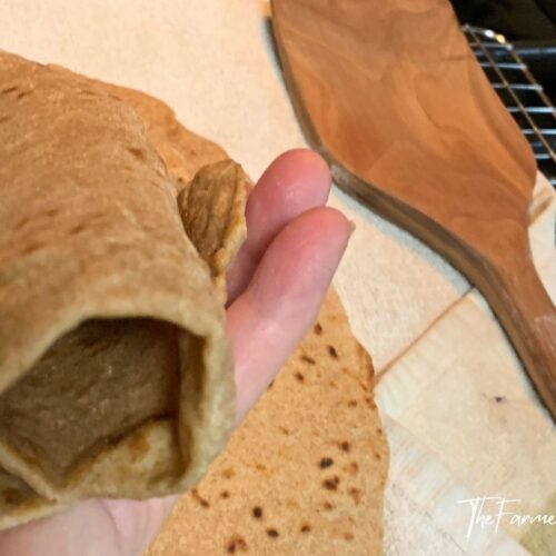 spelt flour tortillas showing one rolled in a hand