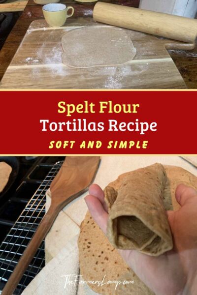 Spelt Flour Tortillas Pin Spelt Flour Tortillas Pin with dough rolled out and finished tortilla held in a hand.