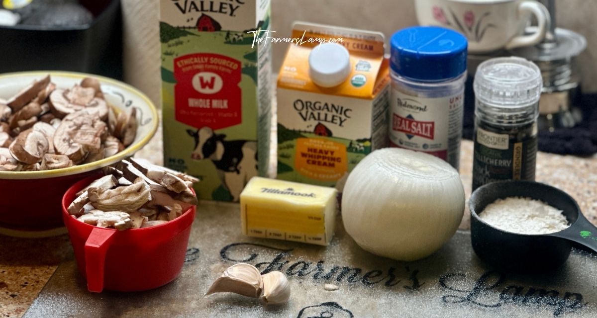 Urban Homesteading - Cooking from scratch mushroom soup ingredients