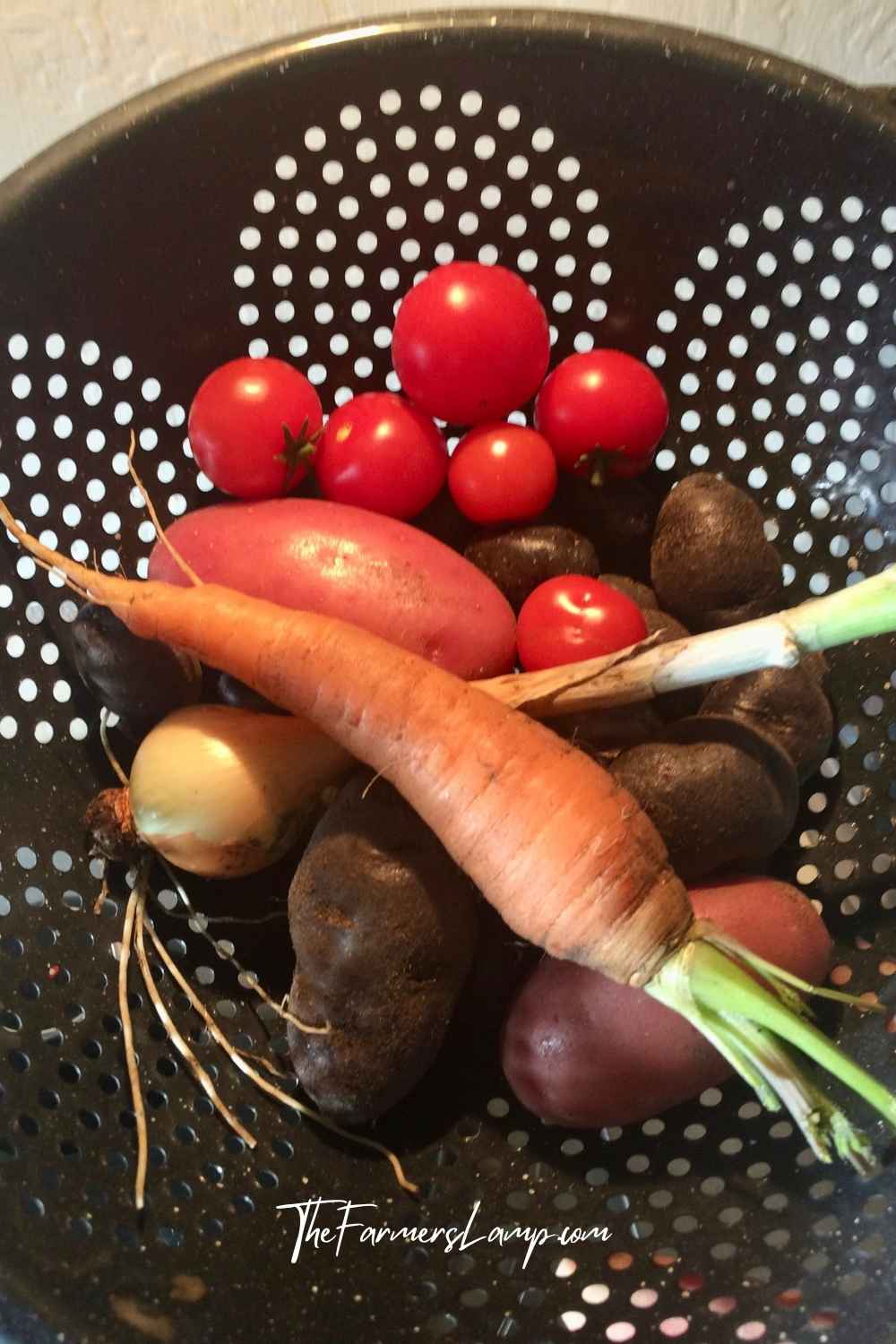 Urban Homesteading - Farmer's market fresh veggies